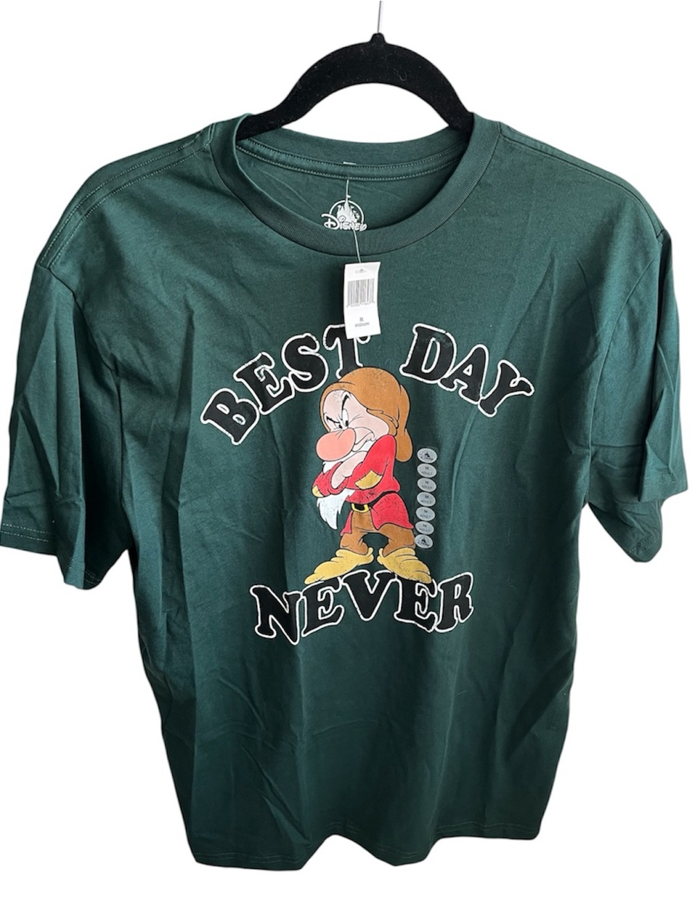 Disney Parks Grumpy Best Day Never Adult T-Shirt NEW Green NWT Size Medium